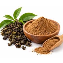 Ekstrakt z herbaty oolong w proszku – Camellia sinensis 1 kg